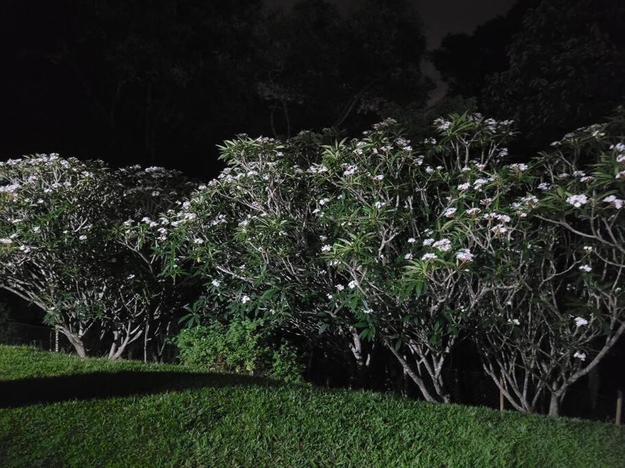 Chácara dos Sonhos em Mairiporã Vila Exterior foto